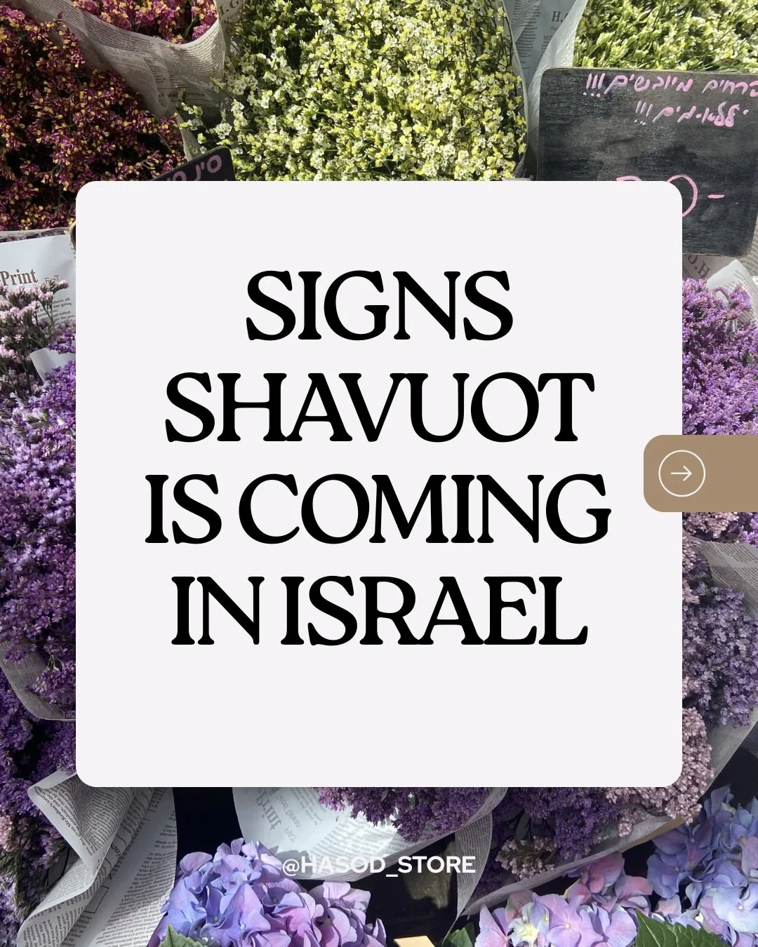 There is just something about Shavuot in Israel 🤍🧺🌾

Can&rsquo;t wait for all the 🧀 and 🍷! Coming up May 21st!

What are you most looking forward to? What do you wish you were here for? The learning all night? The roaming the streets dressed in 