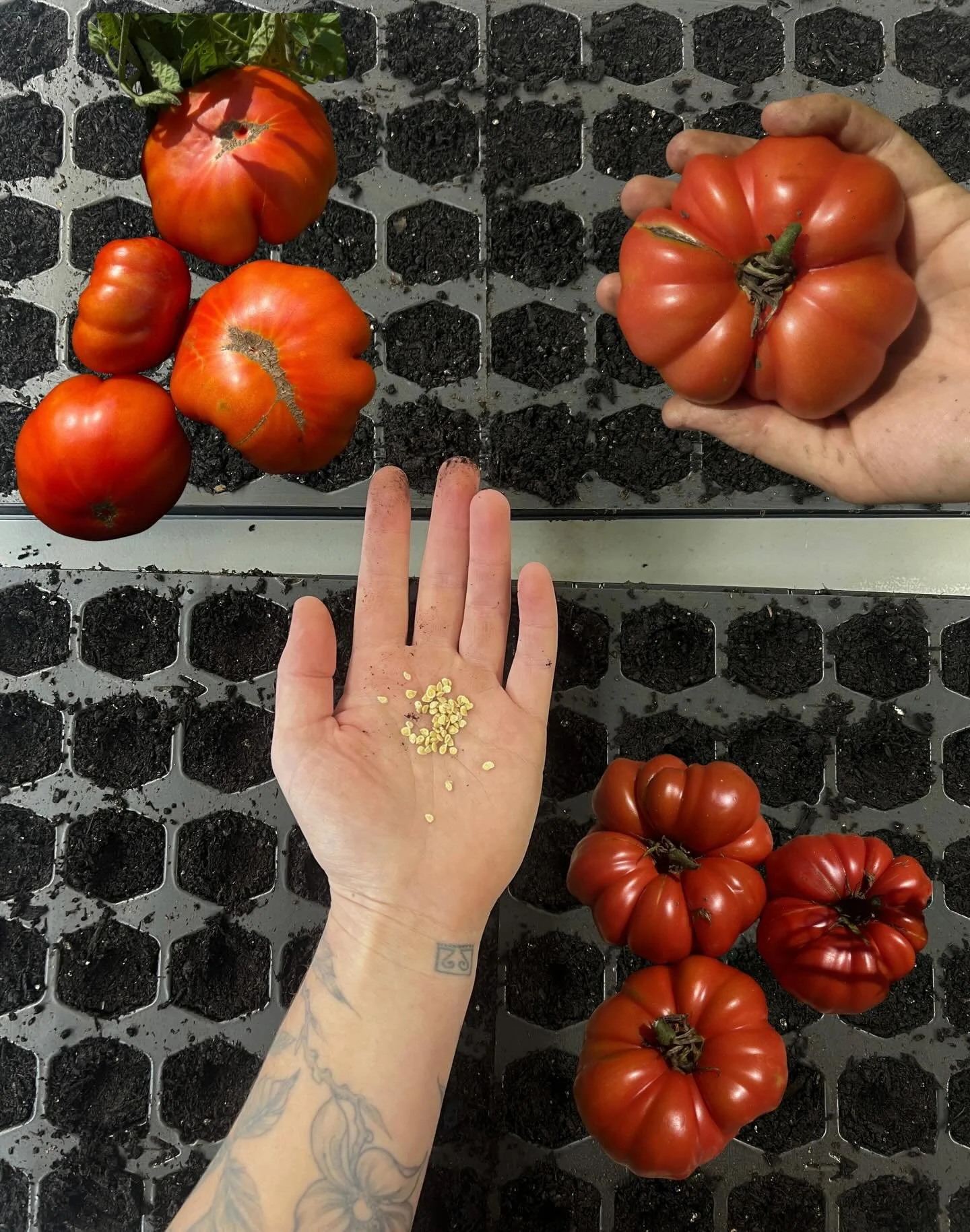 the past the present and the future!!! all contained in tiny sacred bodies