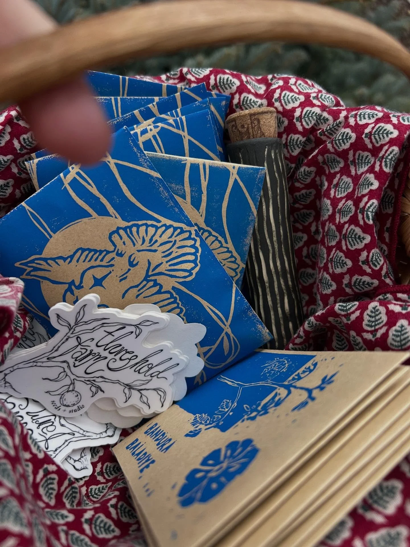 rockport seedfest 🕊️