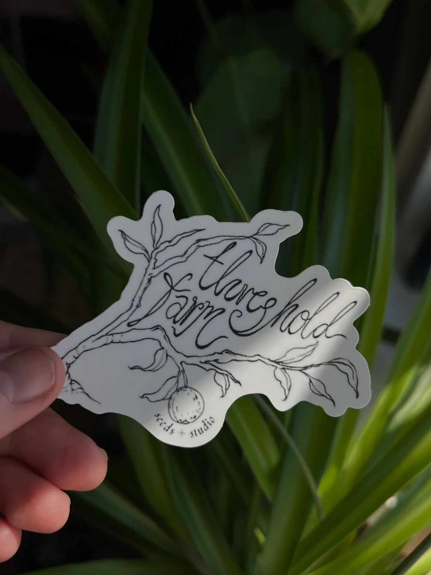 I had some stickers made with my beautiful logo drawn by dear @talyalsberg. I will send you one (two? three?) if you donate! via the link in bio.