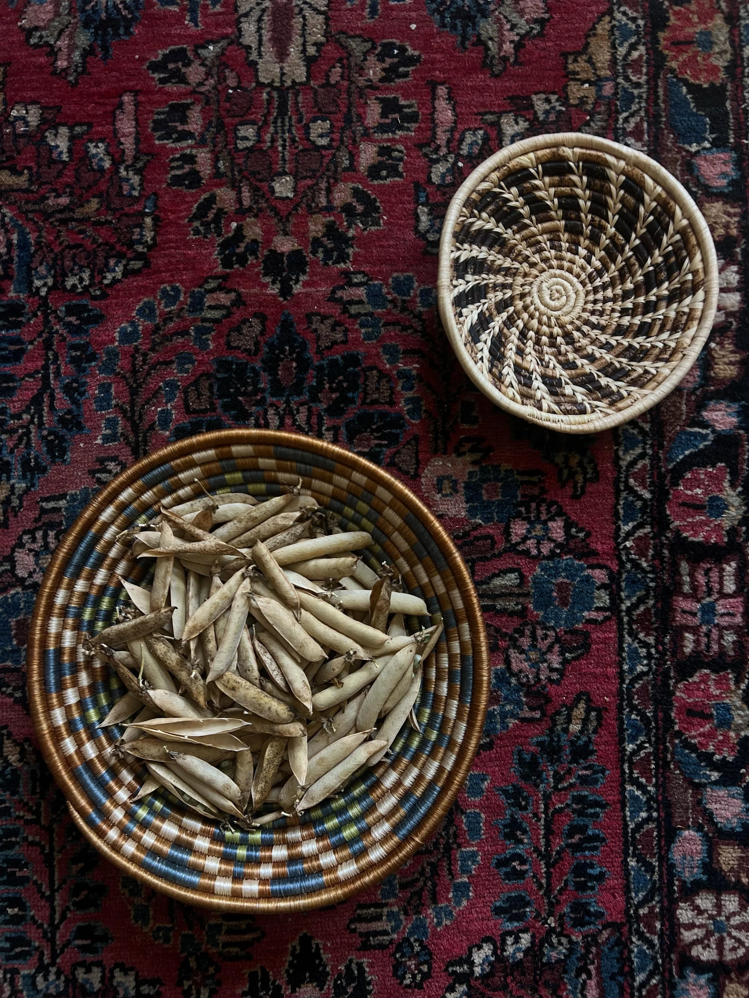 processing bazella, and behind the scenes