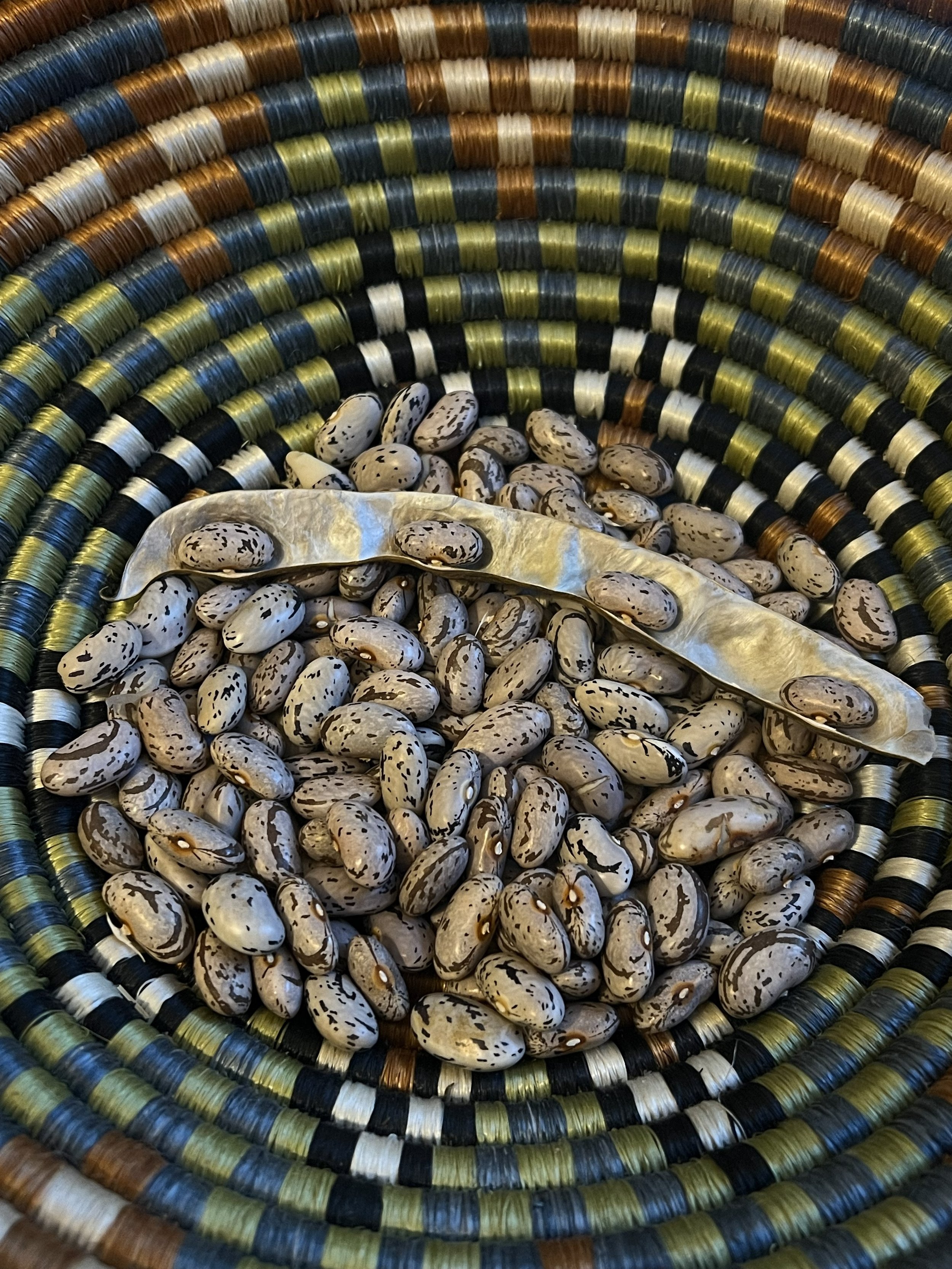 Portugese Pole Beans