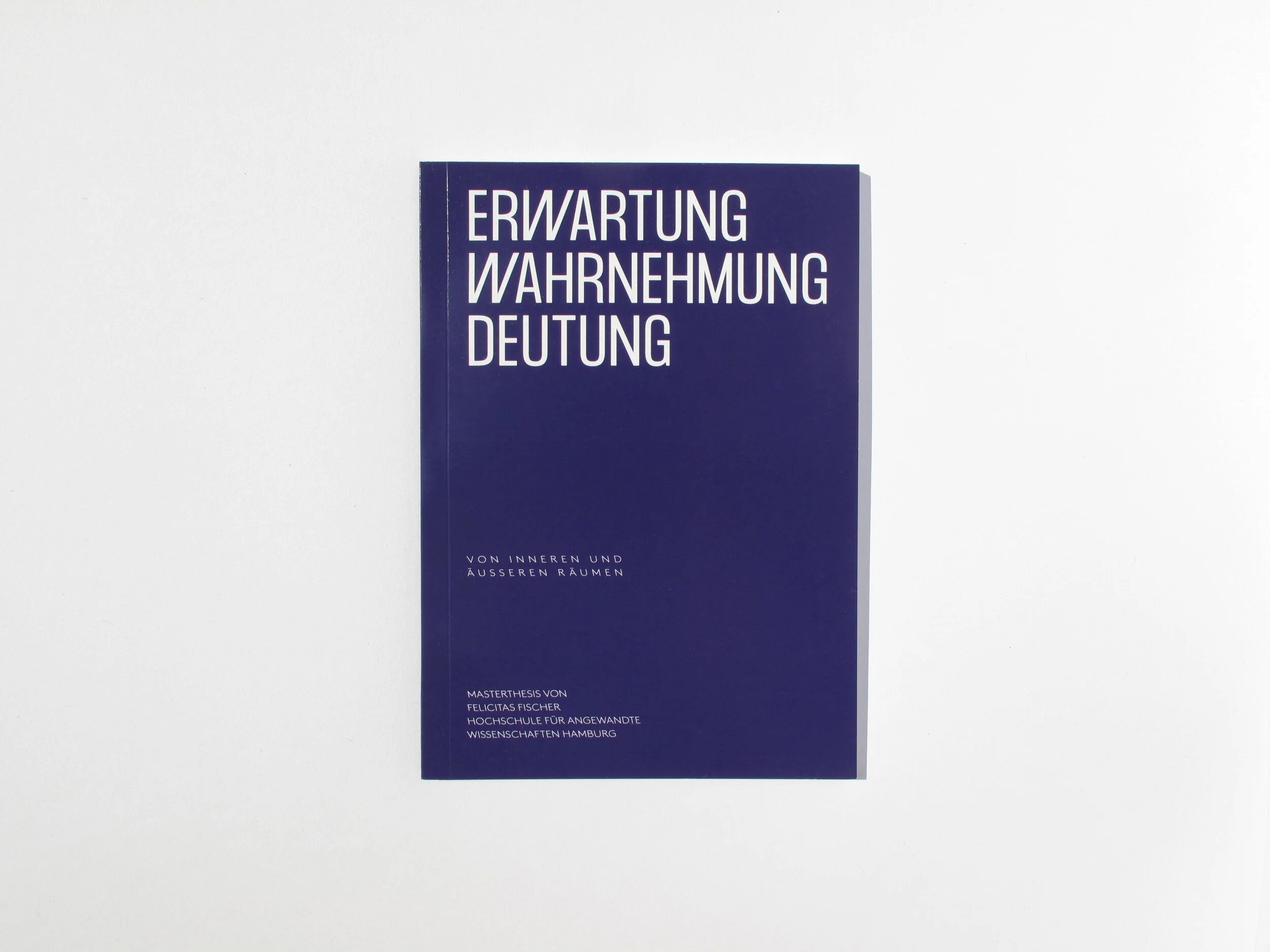 thesis-3814 Kopie.jpg