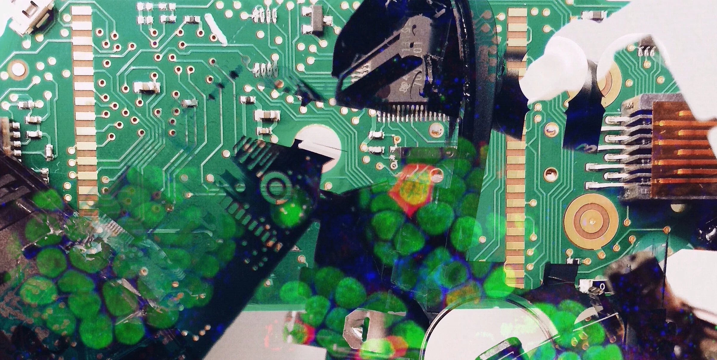 Broken Glucometer Anatomy with Beta Cells, by James Young.jpg