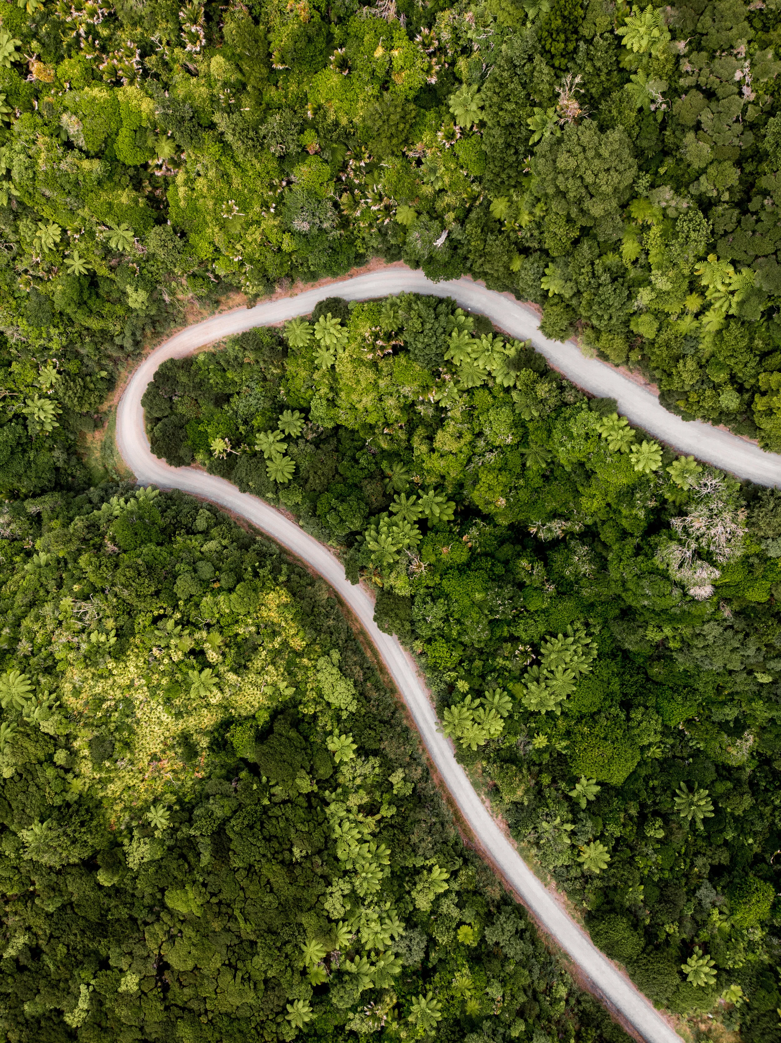 DJI_0159.jpg