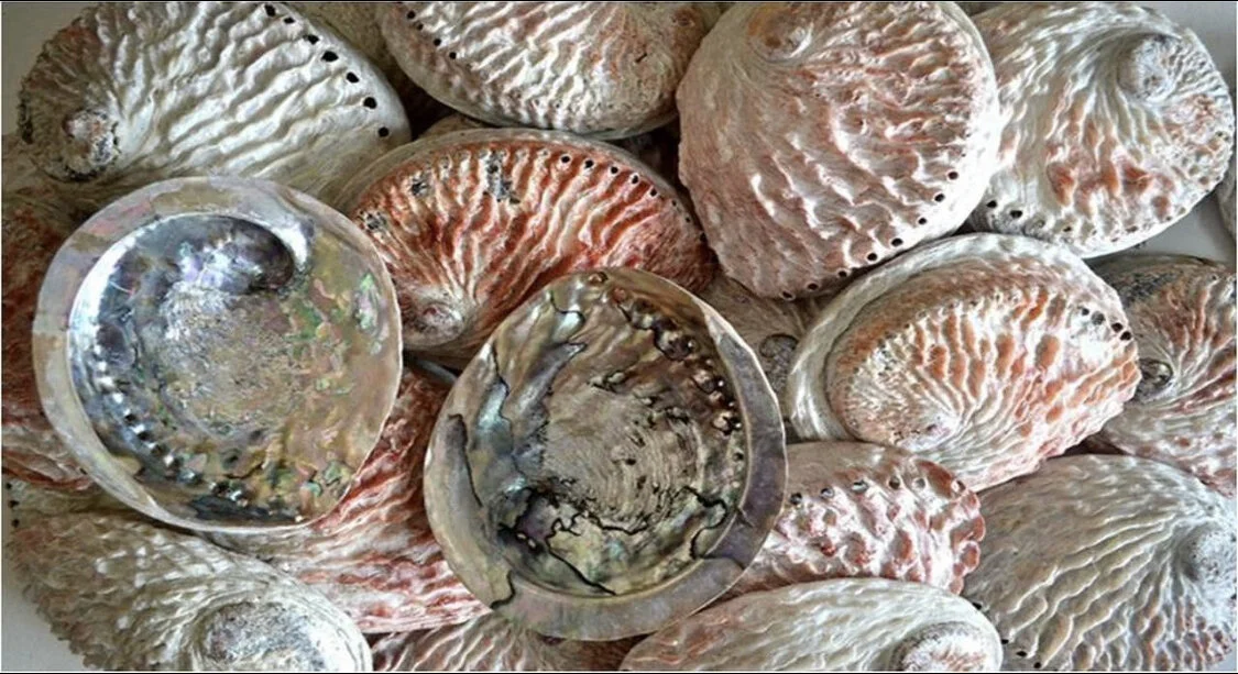 7CC7D323-79ED-4876-AC37-12326B108C7F