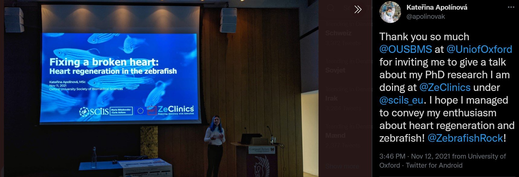 PhD talk at Oxford University
