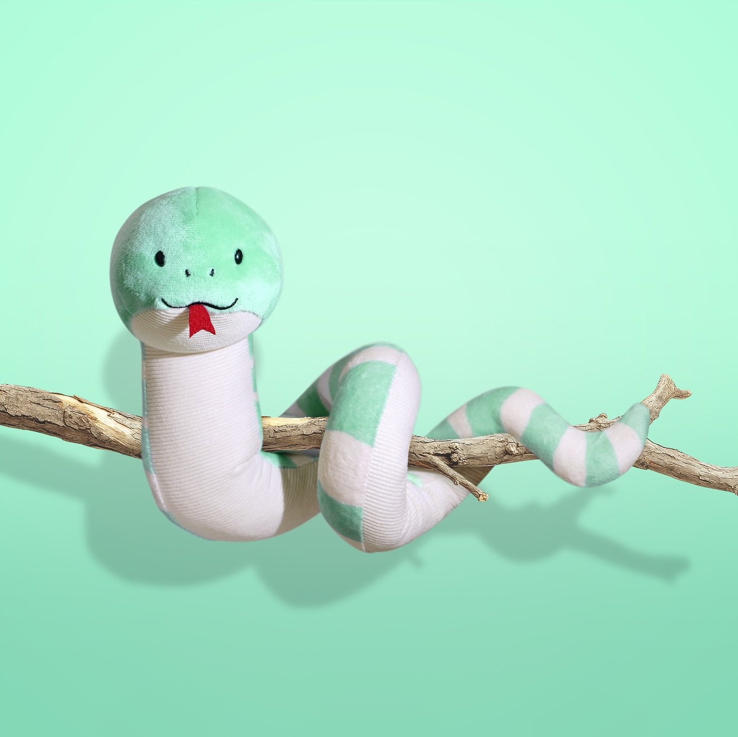 Just like a little snake peeking out from its soft shell, let&rsquo;s embrace transformation and new opportunities in the Year of the Snake! 🐍✨
