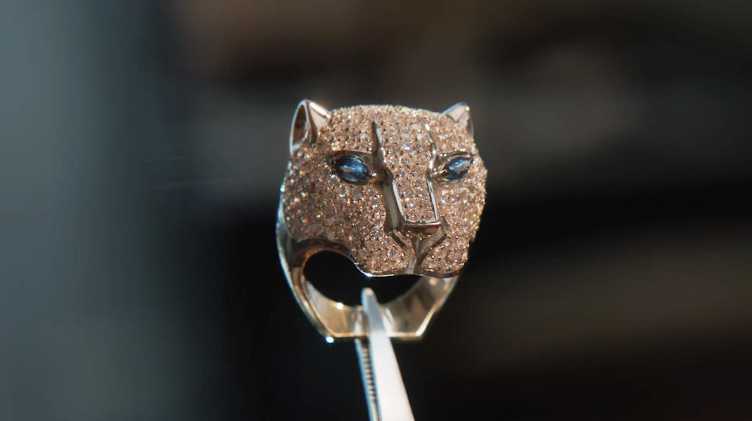 Effy - Journey of a Jewel (Remote Head & Gimbal Operator)