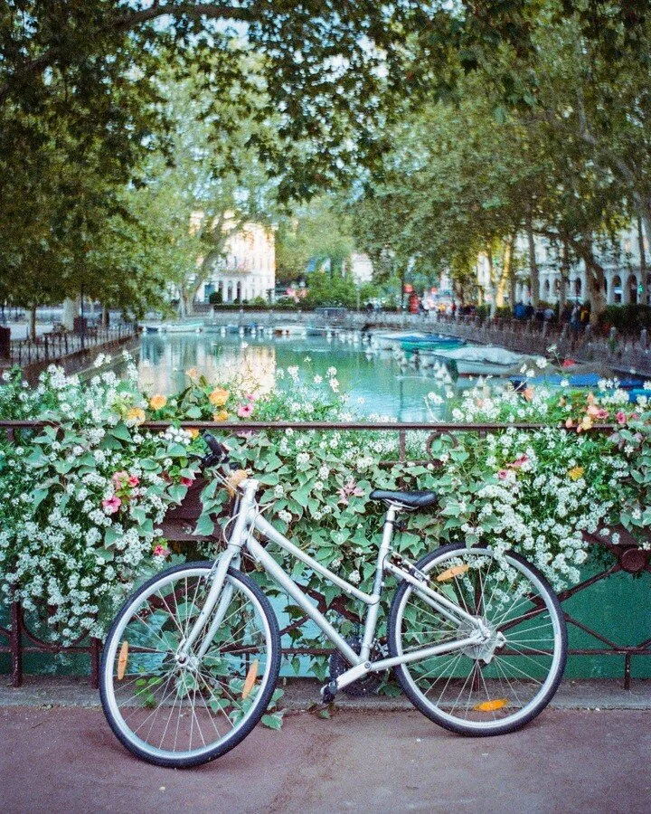Remembering #annecy ...the lakes and the old town and the bikes. reliving old memories in the time of coronavirus quarantine  #citylife #canalstreet #portra400 #kodakportra400 #filmphotography