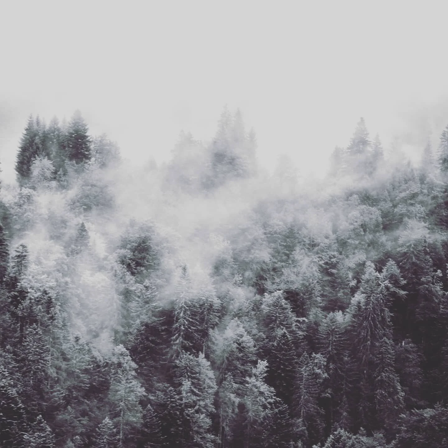 #interlaken #cloudscape #clouds #cloud #lost #mesmerizing #life #lifeisgood #lifeisbeautiful #lifeismagical #magical #switzerland #hill #hillcountry #intotheclouds