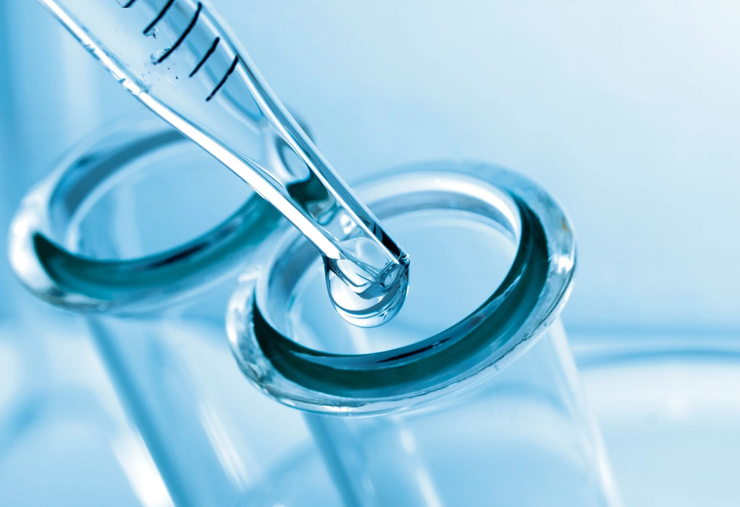 AdobeStock_169805837_Preview (1).jpeg