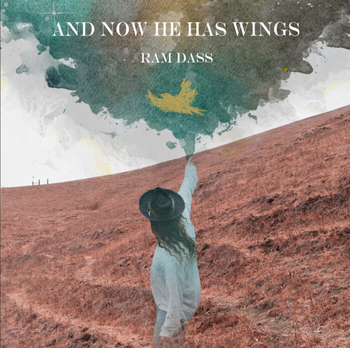 And-Now-He-Has-Wings-cover-700x697.jpeg