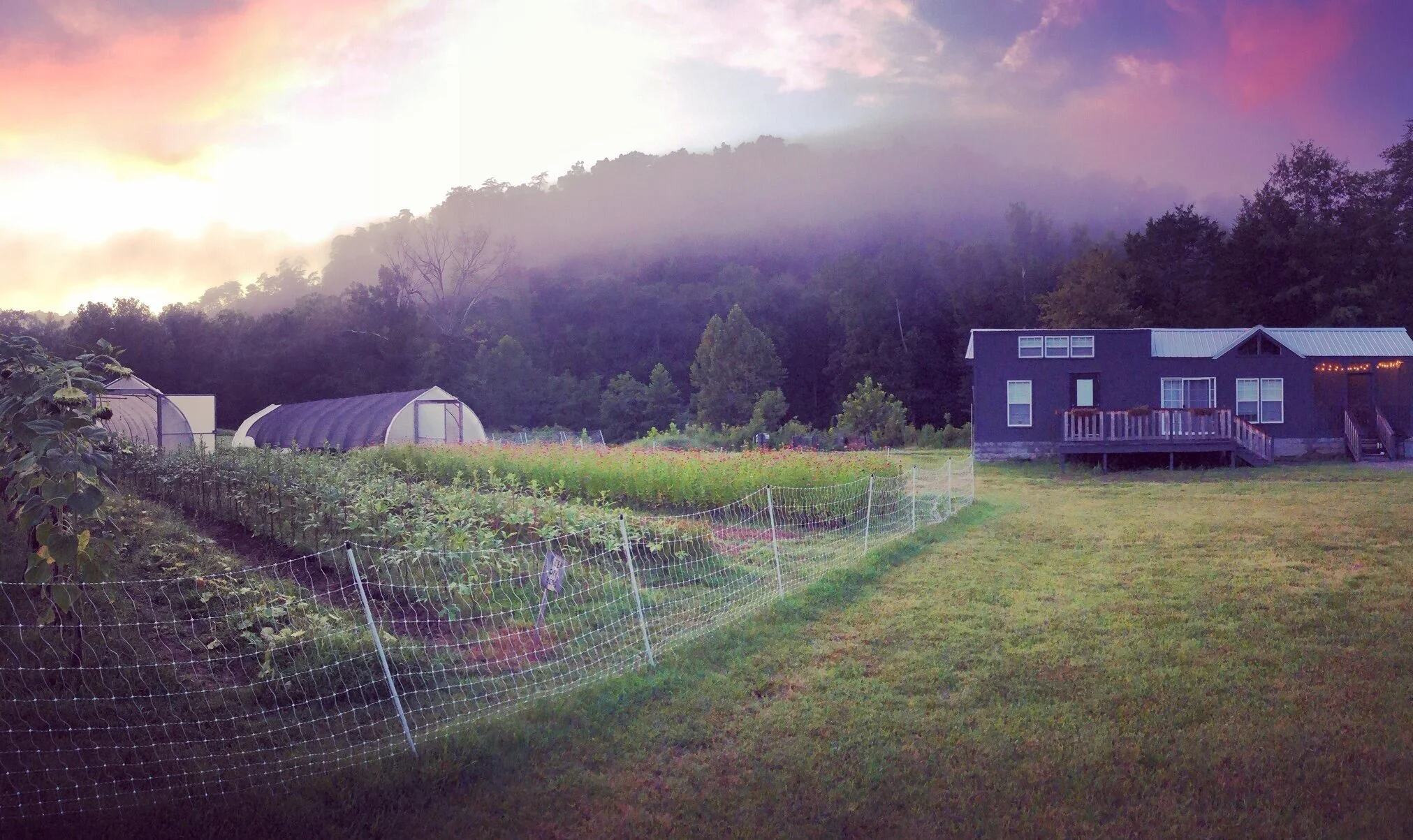 West Glow Farm