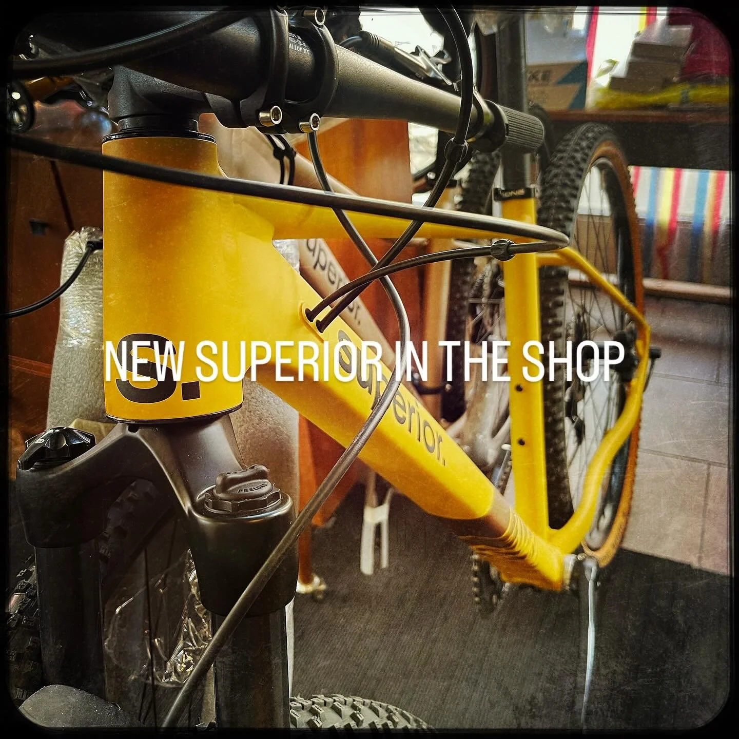 New in the shop #superior #bikes, Check it out #cyctervuren #tervuren #fiets #fietshandelintervuren #mountainbike