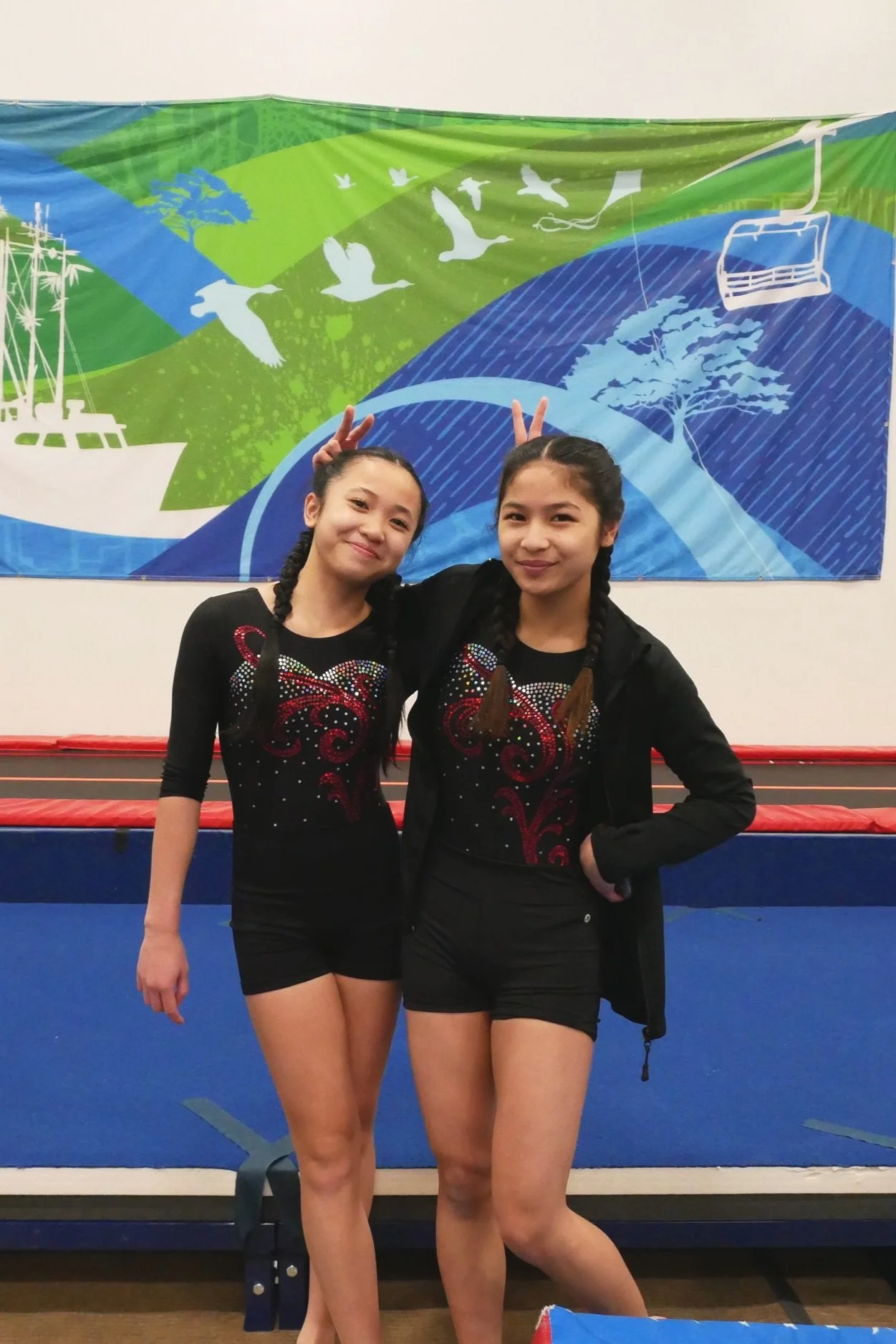 Highschool Achievements — Richmond Gymnastics