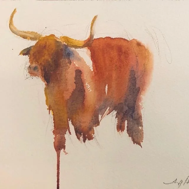 Brushing off the brushes to create a wee heelan coo. 
#watercolor #painting #cow #cattle #highlandcow #highlandcoo #highlandcowsofinstagram #livestock #animalart #scotland #scottish #animalportraits