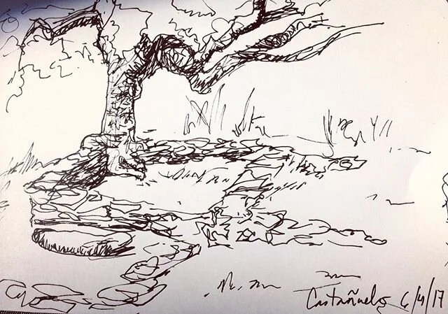 The #pen #sketch I made of the #Celtic settlement ruins at Casta&ntilde;uelo in #Andalucia while Sam @fincabuenvino took his associated photo. #drawing #ruins #ancient #archaeology