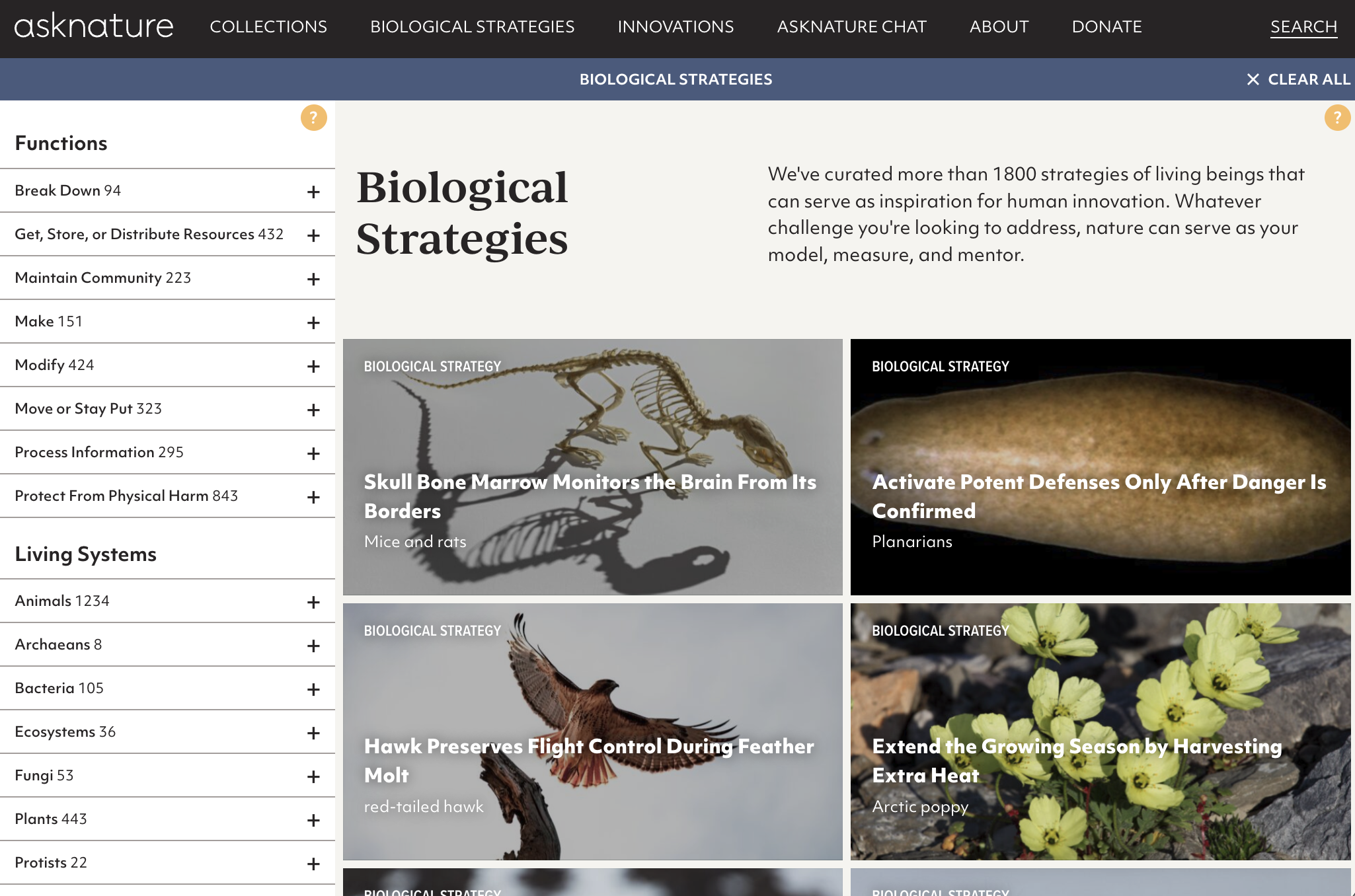 A screen shot from asknature.org