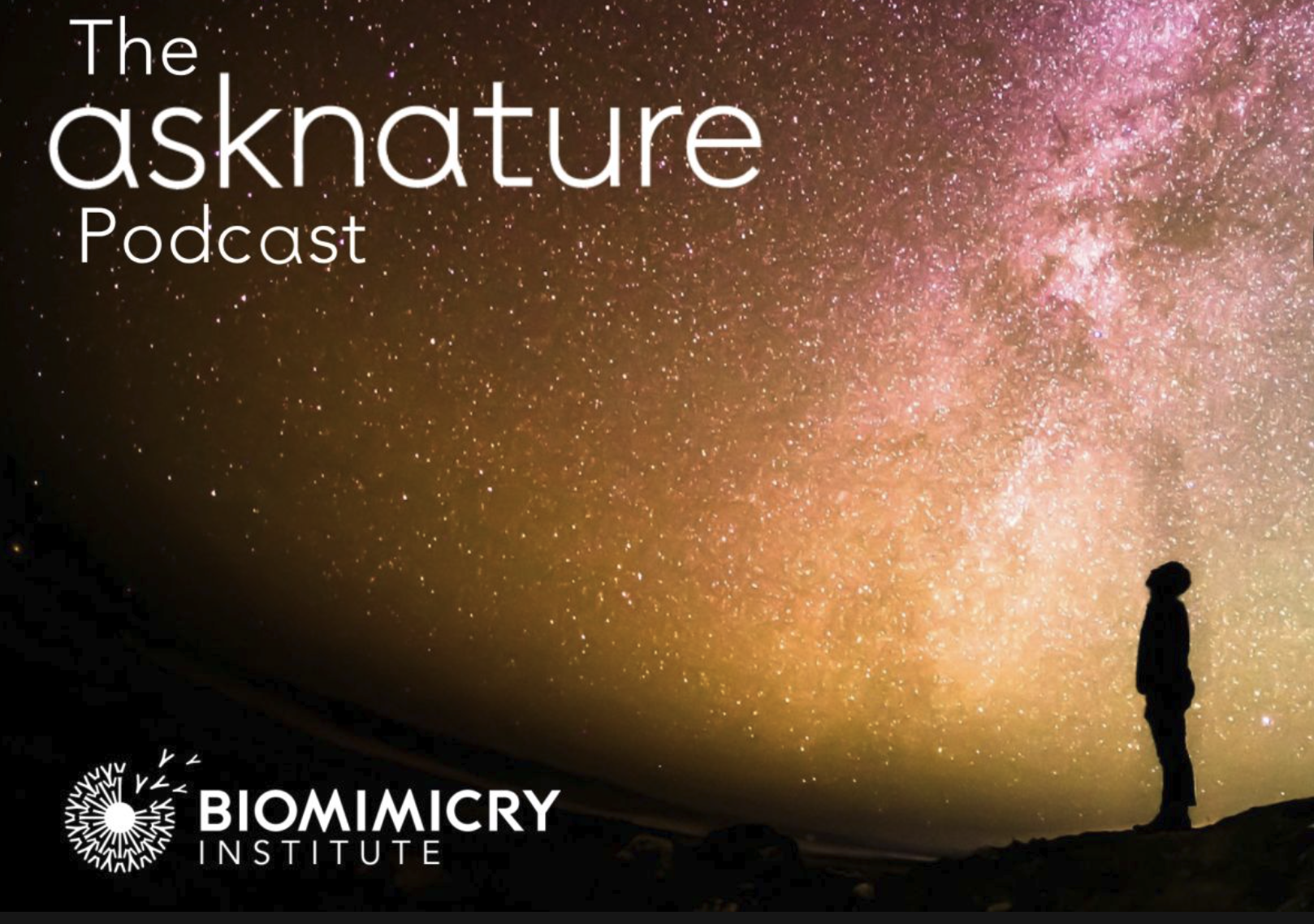A person stands silhouetted by the light of the stars of the Milky Way