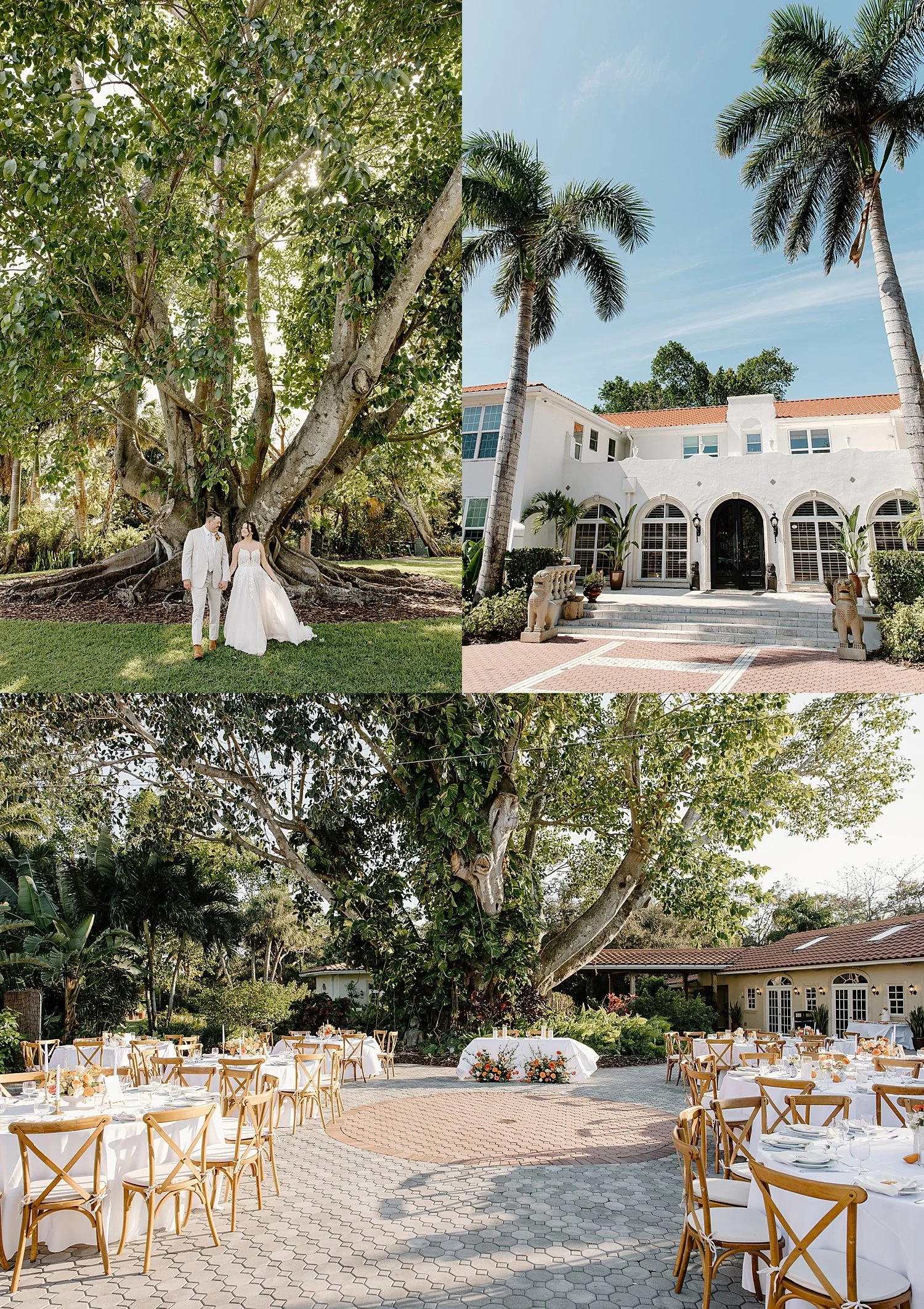  bride and groom stand under palm trees at one of the best venues in SWFL 