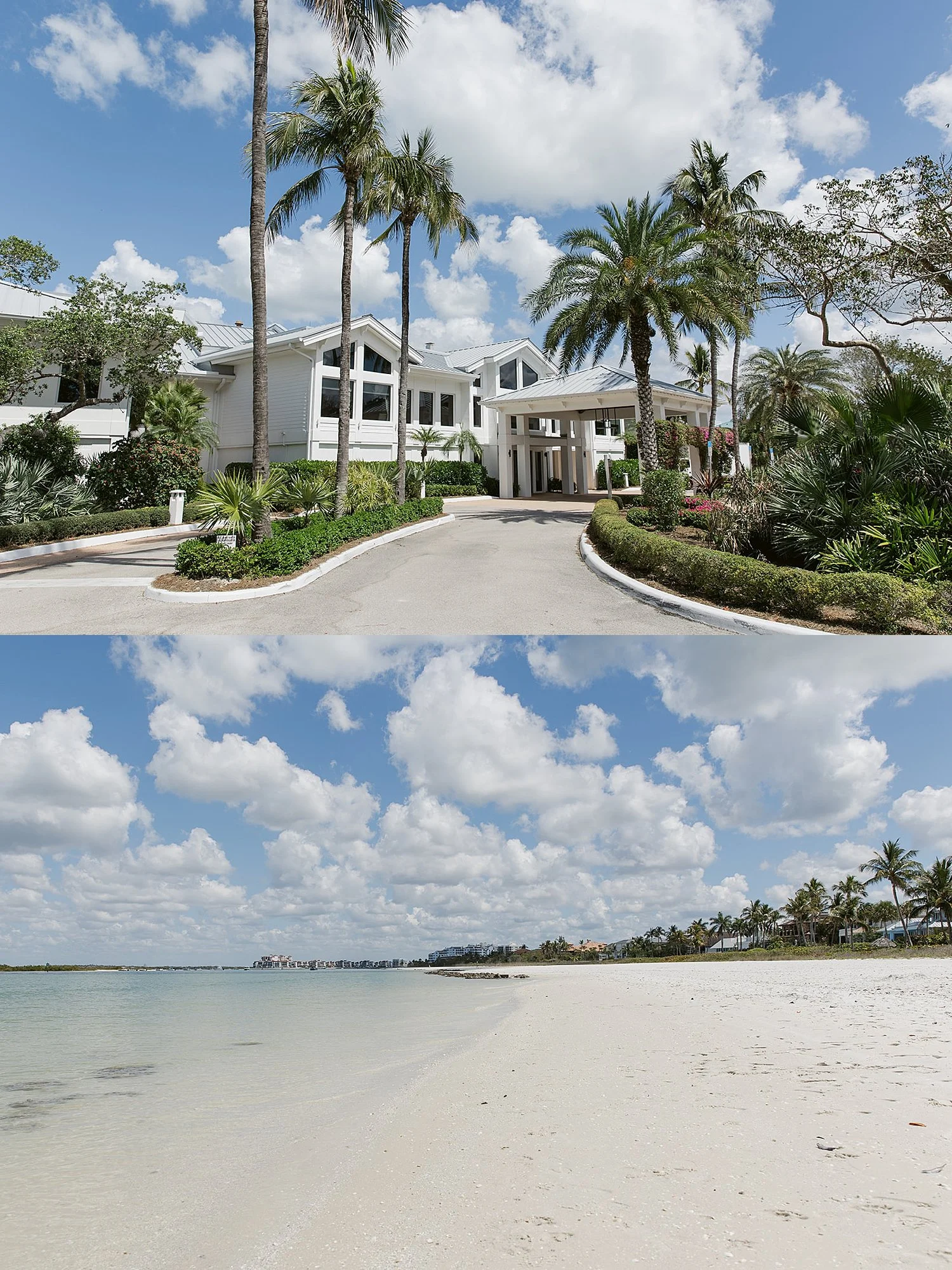  large sweeping venue under blue skies and palm trees by Taylor Shea Photo 