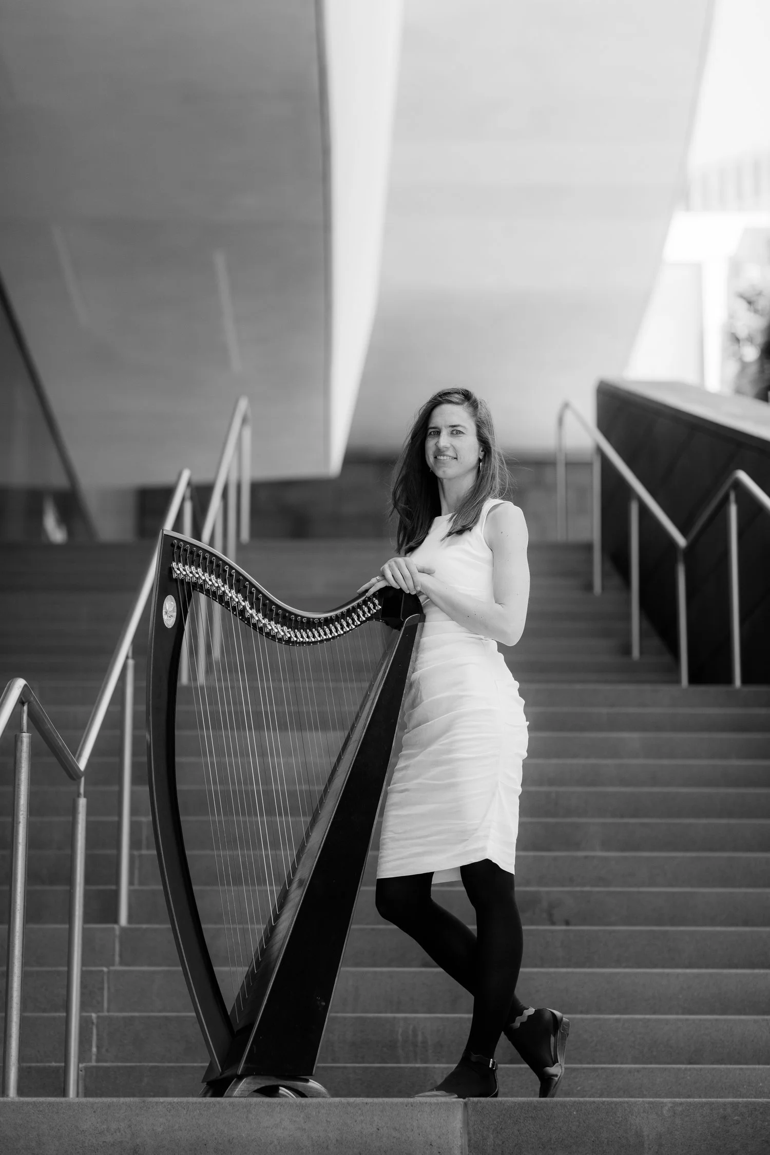 Lever Harp — American Harp Society Chapter