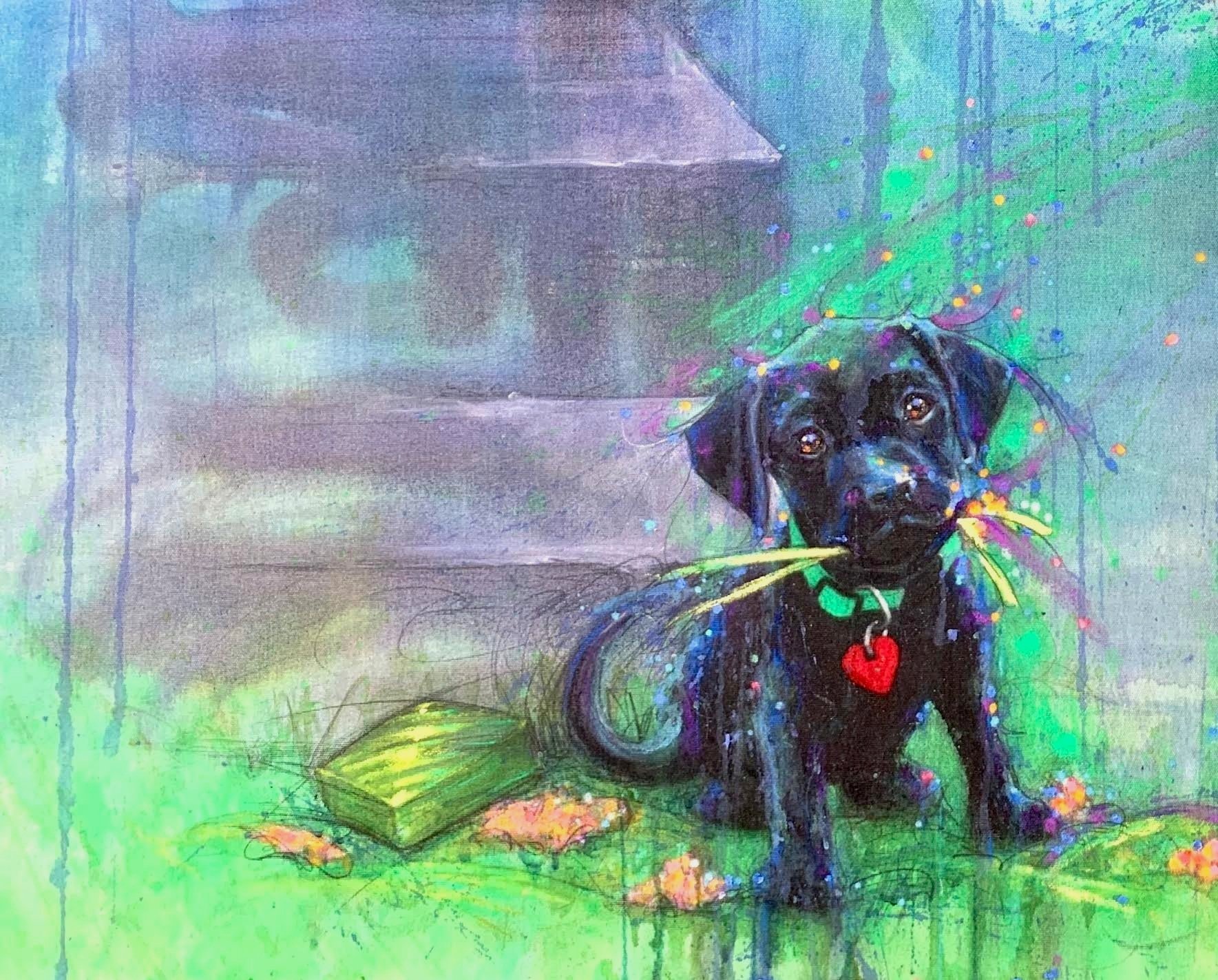 Bali Dog Close up