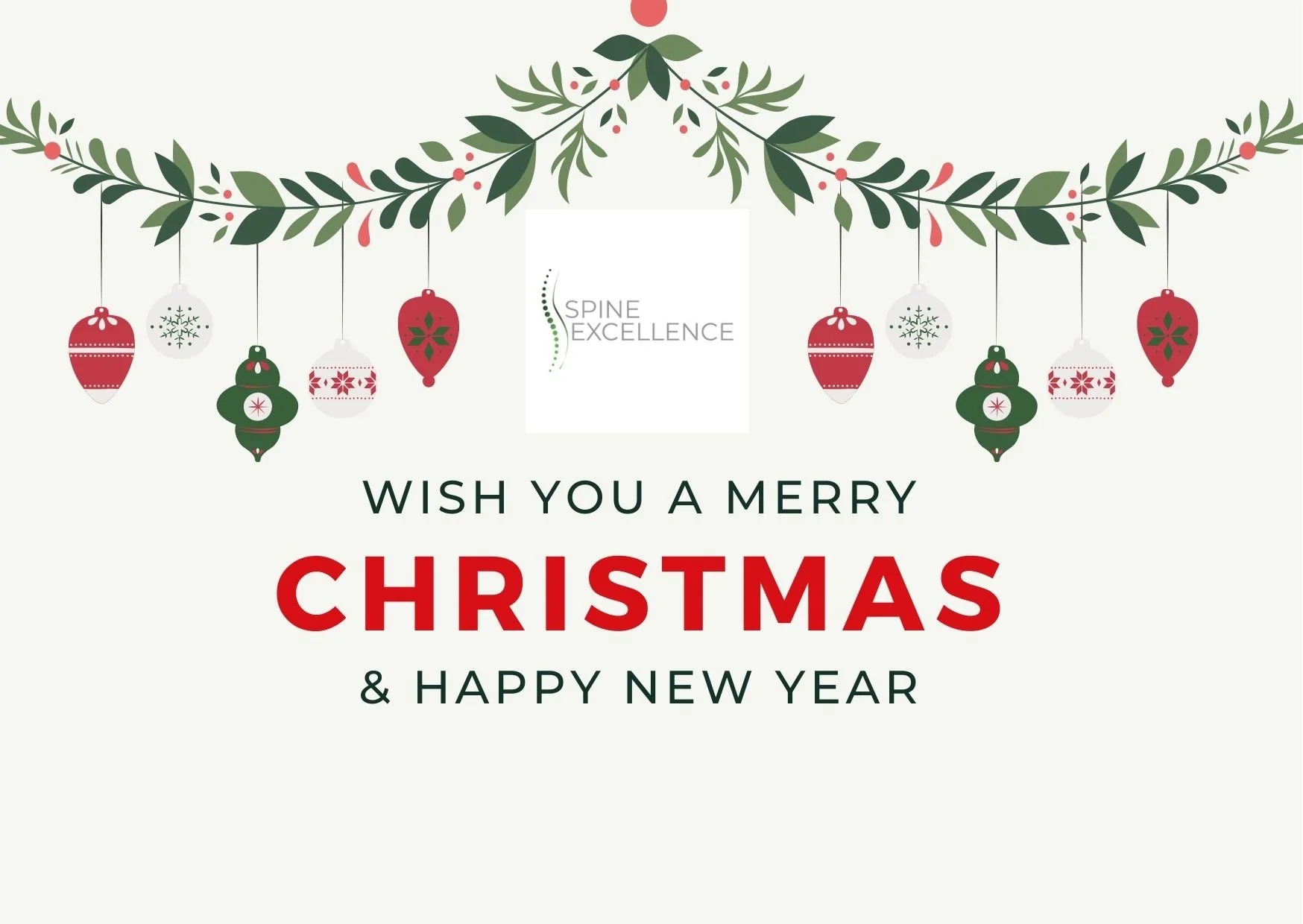 Christmas 2021 SPINE EXCELLENCE christmas-2021-spine-excellence