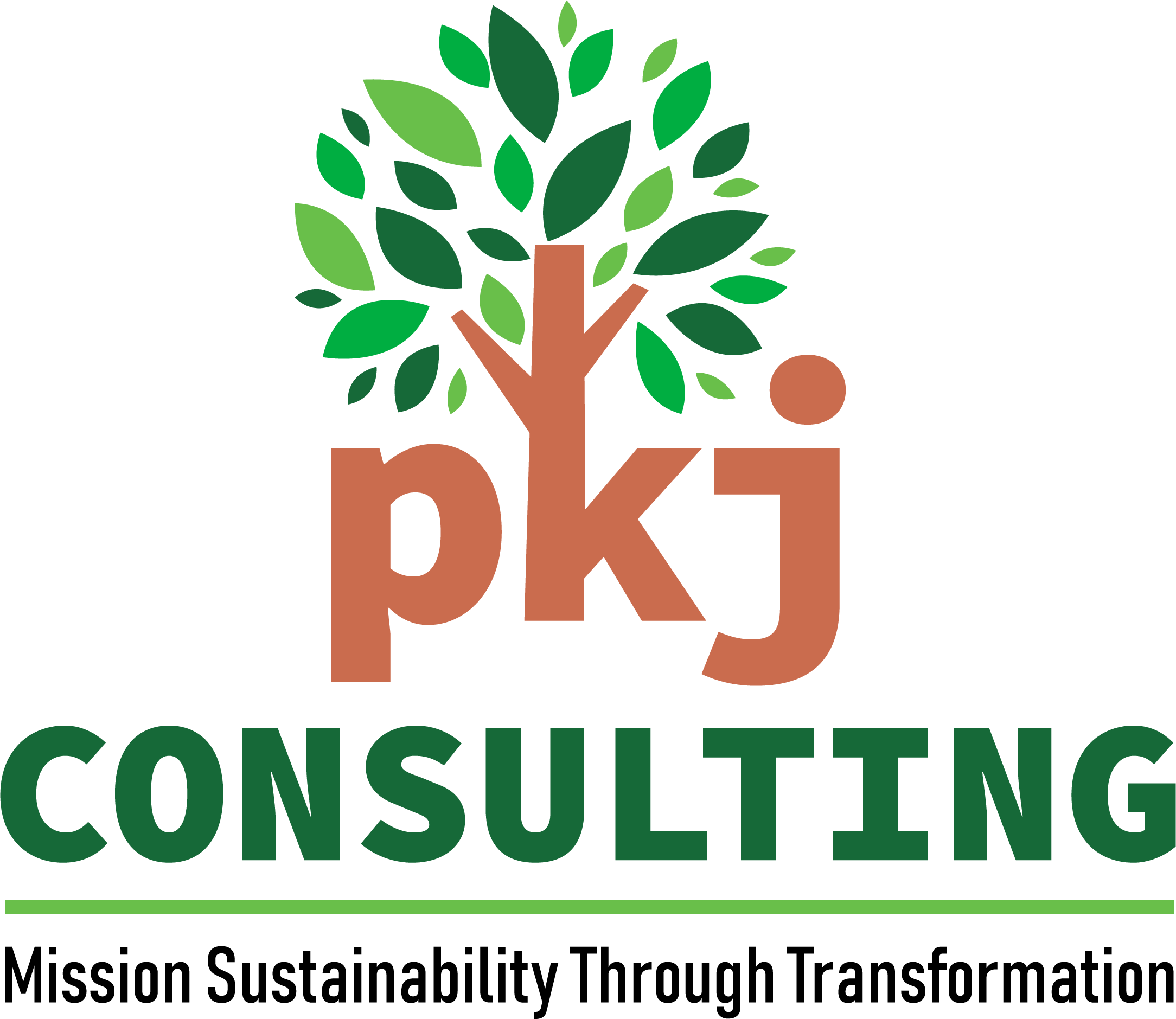 PKJ Consulting