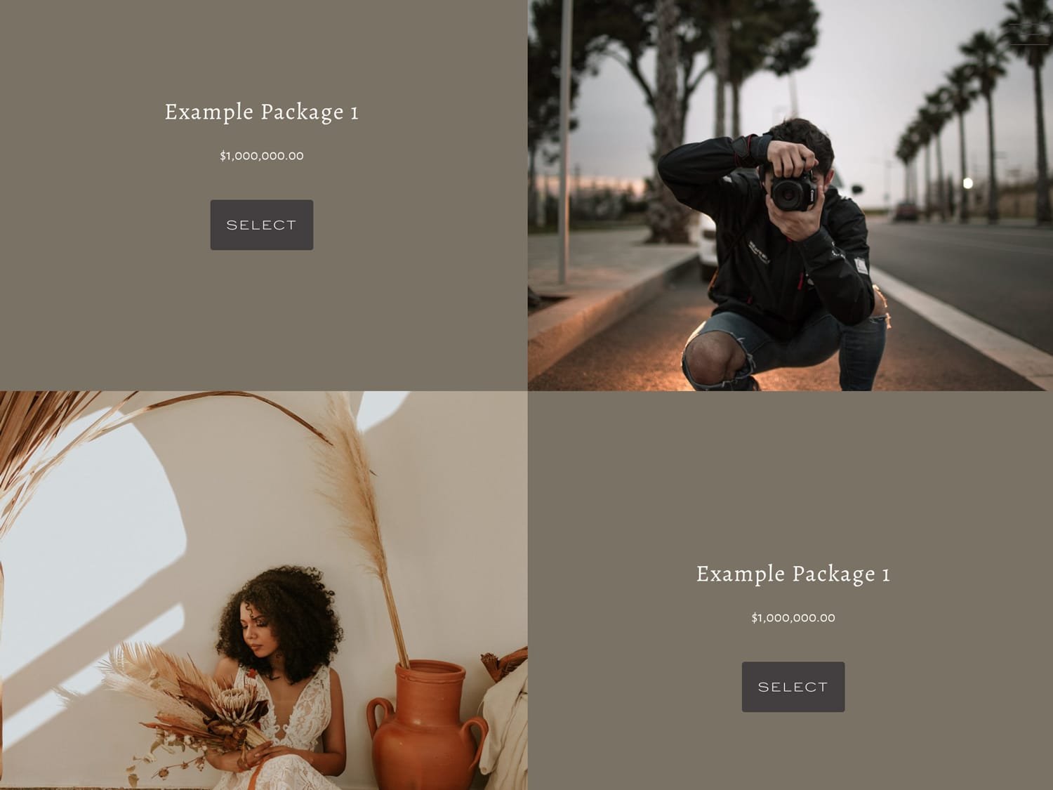 Dubsado Pricing Plugin Dub ins