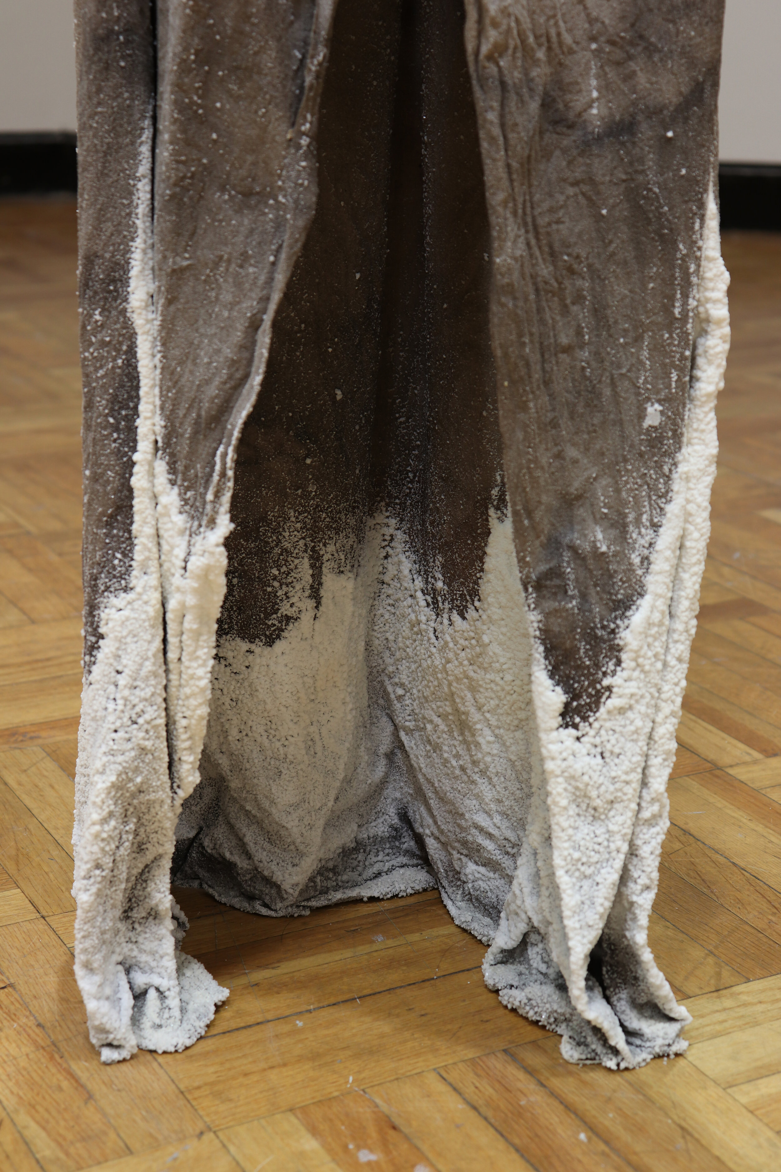 Pillar of Salt II (detail)