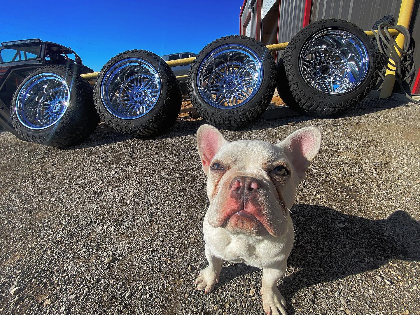 Shop foreman inspecting the product before install !
#frenchiefriday
__________________________
☎️ 682-666-8374
🌎 www.neversatisfiedKustoms.com
.

#builtbyNsk
#wheels #wheelgram  #wheelshop 
#liftedtrucks #lifted #trucks #customized #rims #customwhe