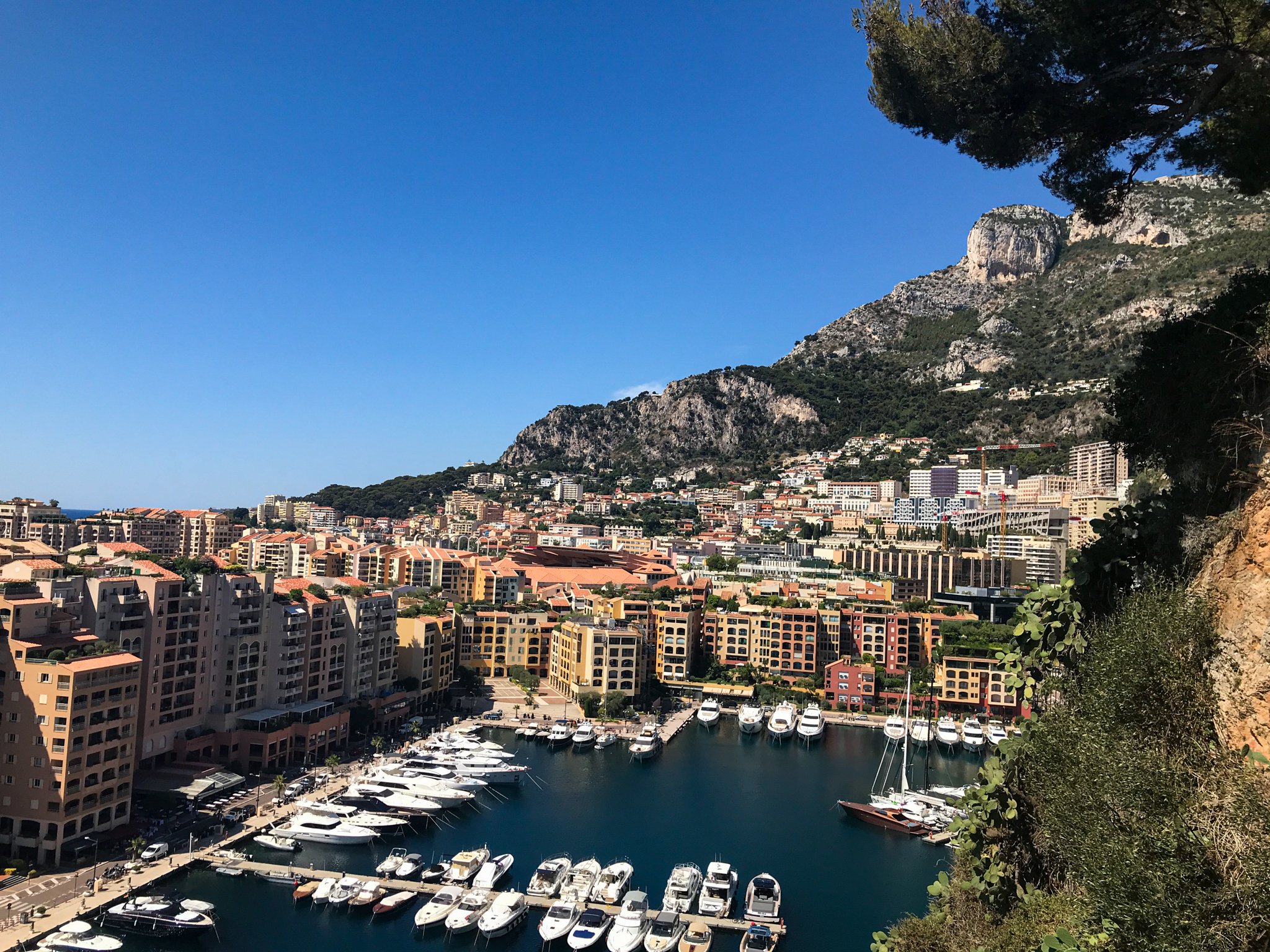 Point de vue Port de Fontvieille