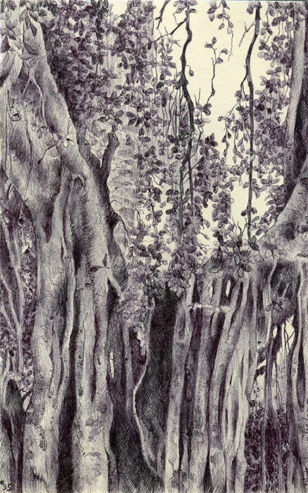 #35