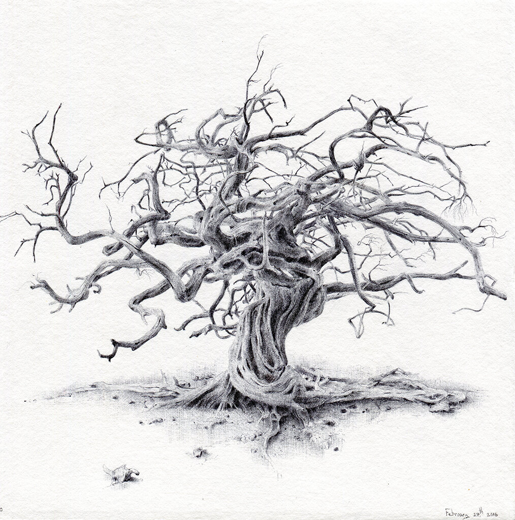 Secret Life of Trees — Dina Brodsky