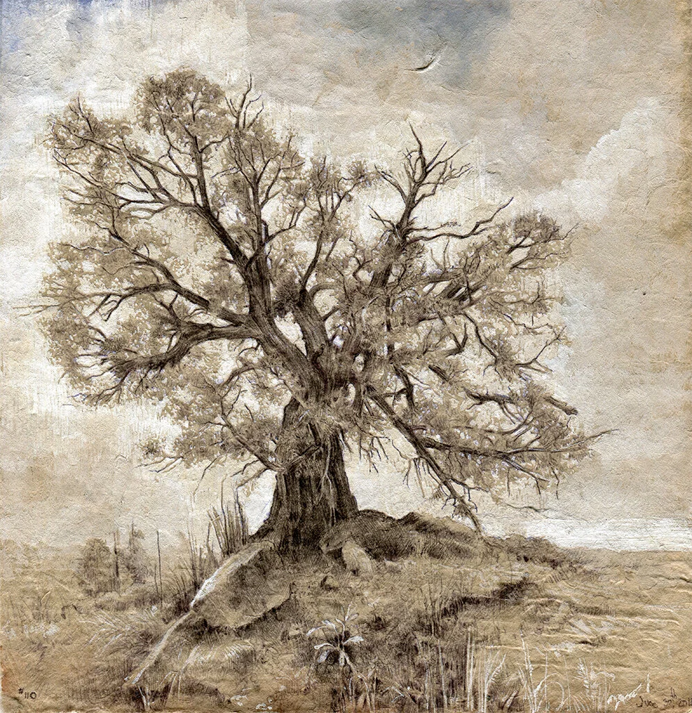 tree110_72dpi.jpg
