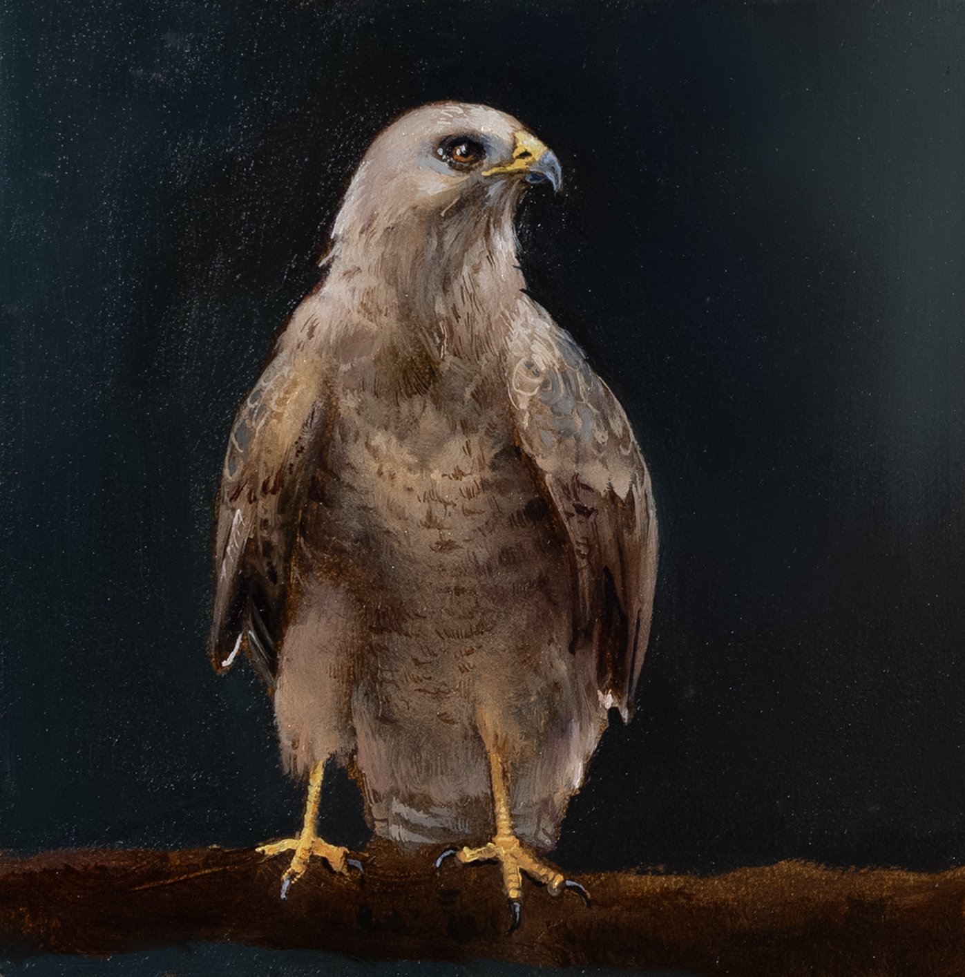 Eagle.jpg