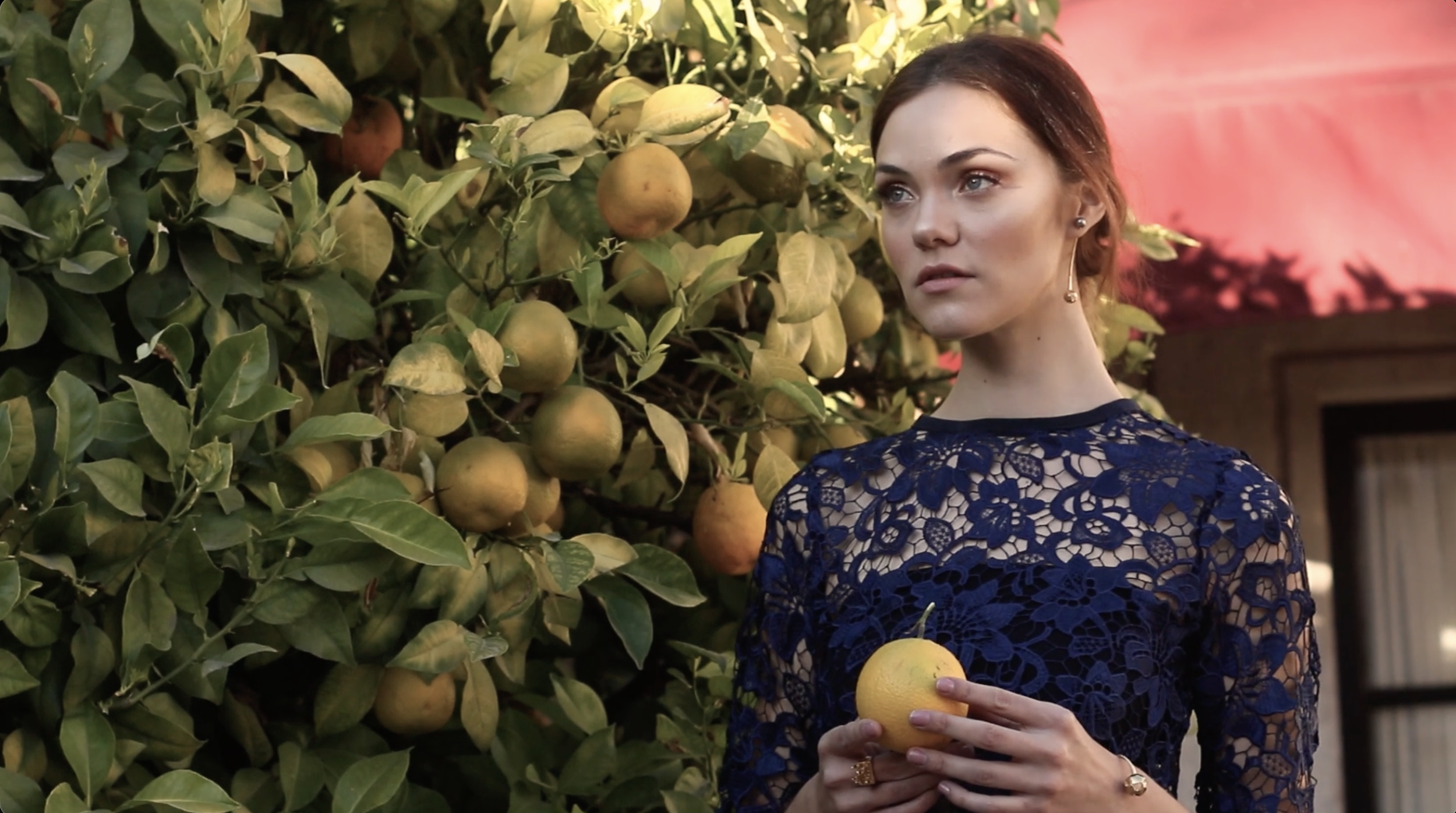 Screenshot 2025-12-11 at 4.18.47 p.m..png