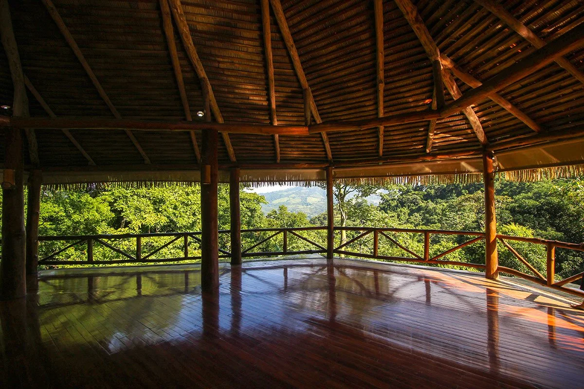 Open wooden hut with a thatched roof overlooking lush green forest and distant mountains.