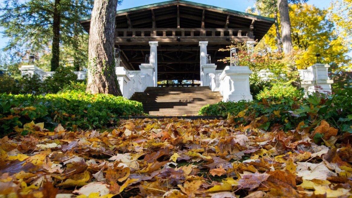 hall+of+philosophy+fall.jpg