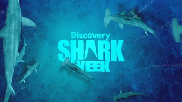 Discovery - Shark Week / Gorilla Glue