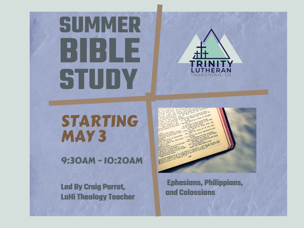 Summer Bible Study led by Craig Parrott