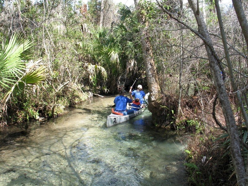 are dogs allowed at juniper springs