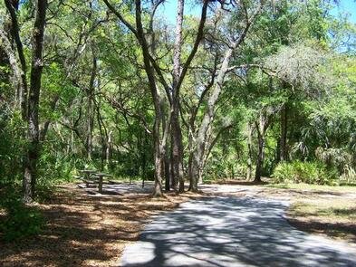 Alexander Springs Adventure Ocala