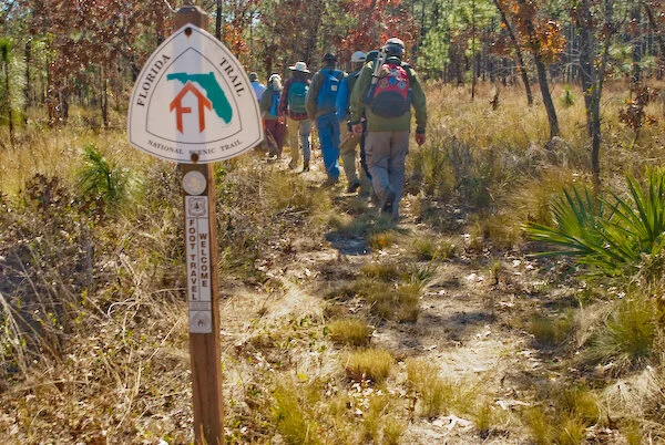 Ocala National Forest Hiking Trails Hiking — Adventure Ocala