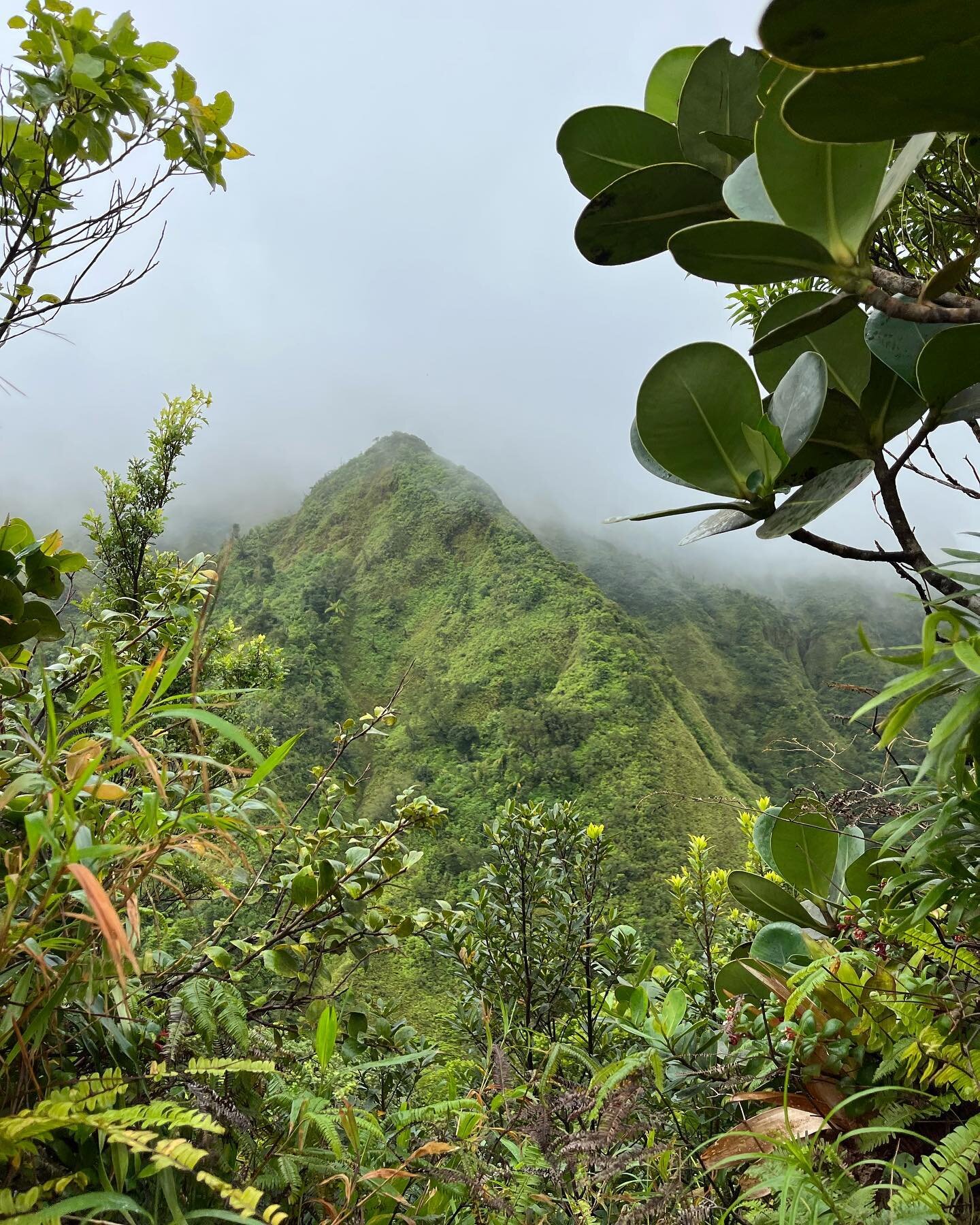 After a beautiful sail down the coast to Roseau we were feeling super adventurous &amp; hired a guide for the Boiling Lake hike. 😳 ⛰⛰It turned out to be quite the challenging hike; climbing up extremely steep inclines through the volcano with hundre