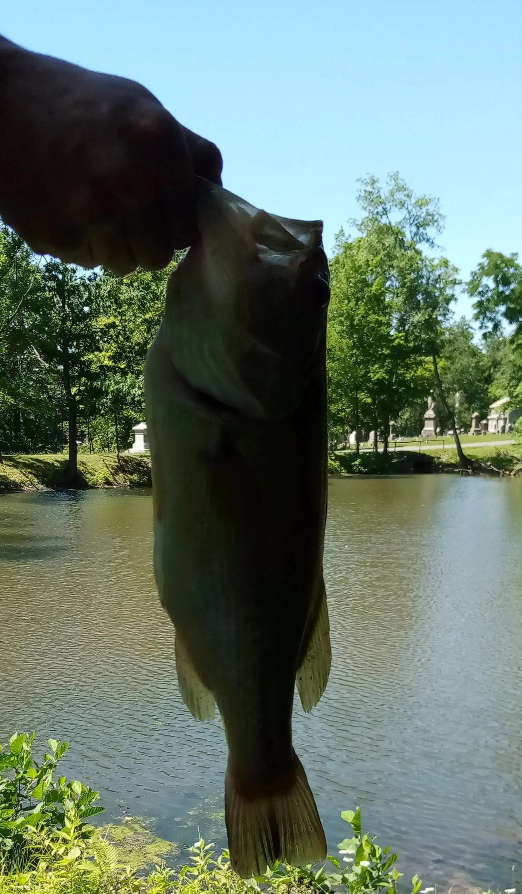 Children's Fishing Contest