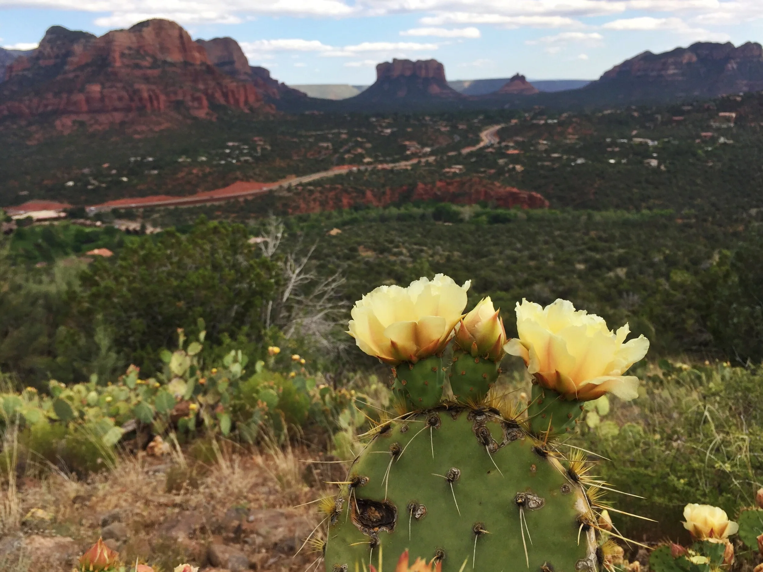 Road Trip: Phoenix to Las Vegas