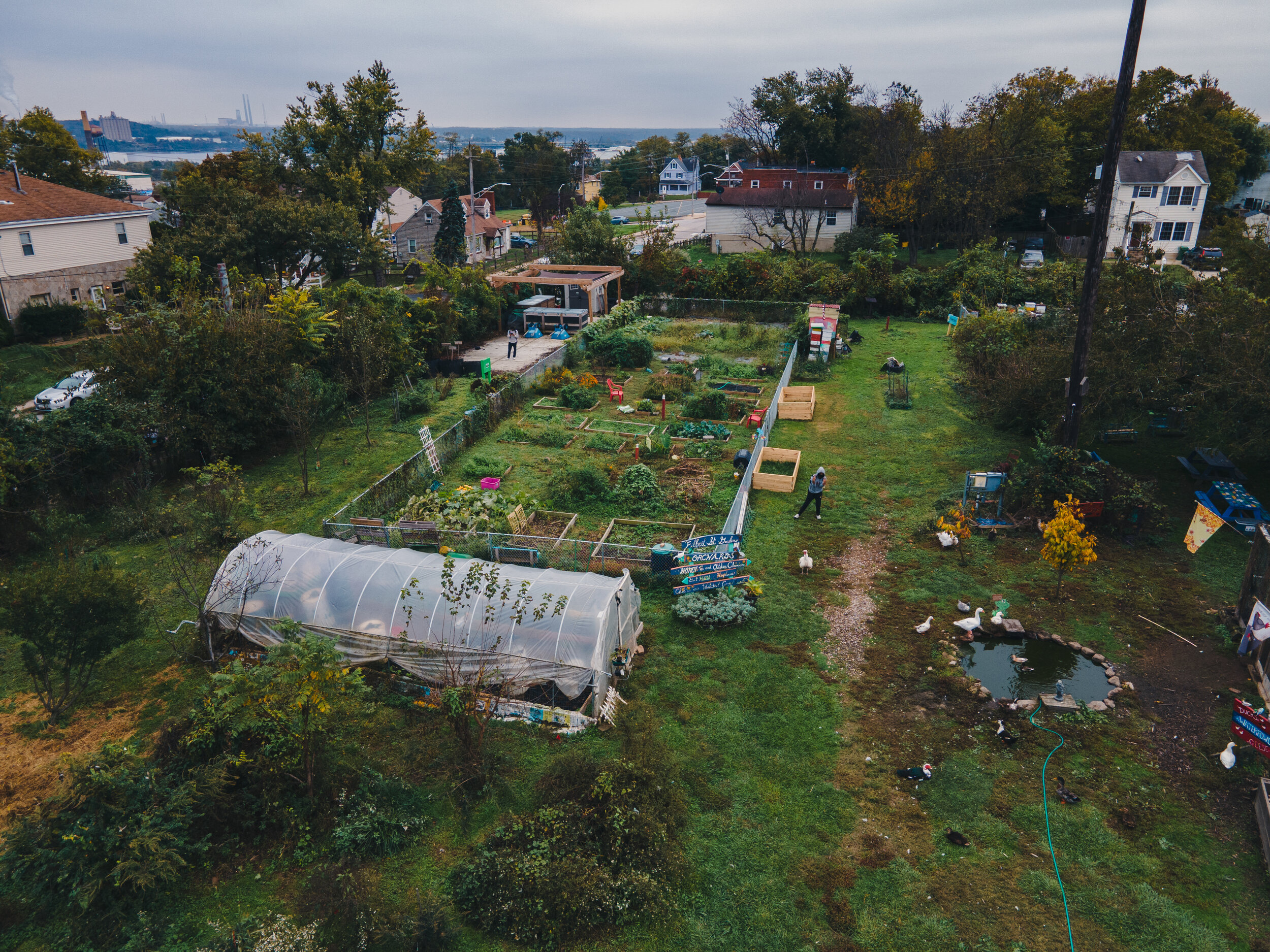  containing a variety of crops, livestock, beehives, and a small composting facility, the Filbert St. Gardens serve as a holistic community healing center where families can get organic produce in a food desert, gain access to an urban green space, a